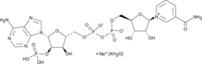 NADP<sup>+</sup> (sodium salt hydrate)