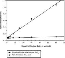 HIF-<wbr/>1? Transcription Factor Assay Kit