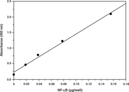 NF-<wbr/>?B (human p50) Transcription Factor Assay Kit