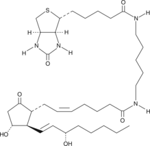 Prostaglandin E<sub>2</sub>-biotin