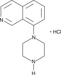 8-<wbr/>piperazin-<wbr/>1-<wbr/>yl-<wbr/>Isoquinoline (hydro<wbr>chloride)