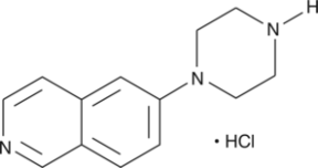 6-<wbr/>piperazin-<wbr/>1-<wbr/>yl-<wbr/>Isoquinoline (hydro<wbr>chloride)