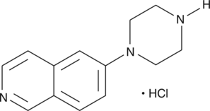 6-<wbr/>piperazin-<wbr/>1-<wbr/>yl-<wbr/>Isoquinoline (hydro<wbr>chloride)