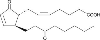 13,14-<wbr/>dihydro-<wbr/>15-<wbr/>keto Prostaglandin A<sub>2</sub> MaxSpec<sup>®</sup> Standard