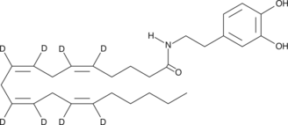 N-<wbr/>Arachidonoyl Dopamine-<wbr/>d<sub>8</sub>