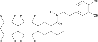 N-<wbr/>Arachidonoyl Dopamine-<wbr/>d<sub>8</sub>