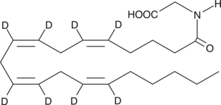 Arachidonoyl Glycine-<wbr/>d<sub>8</sub>