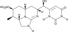 Cylindro<wbr/>spermopsin