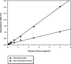 NF-<wbr/>?B (p65) Transcription Factor Assay Kit