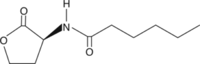 N-<wbr/>hexanoyl-<wbr/>L-<wbr/>Homoserine lactone