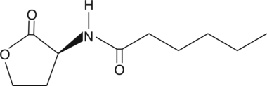 N-<wbr/>hexanoyl-<wbr/>L-<wbr/>Homoserine lactone