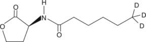 N-<wbr/>hexanoyl-<wbr/>L-<wbr/>Homoserine lactone-<wbr/>d<sub>3</sub>