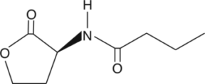 N-<wbr/>butyryl-<wbr/>L-<wbr/>Homoserine lactone