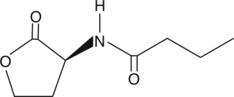 N-<wbr/>butyryl-<wbr/>L-<wbr/>Homoserine lactone