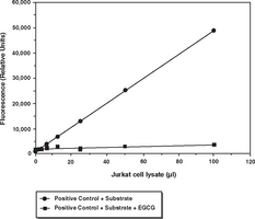 20S Proteasome Assay Kit