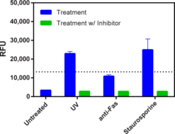 Caspase-3/7 Fluorescence Assay Kit