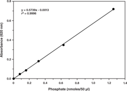 Malachite Green Phosphate Assay Kit