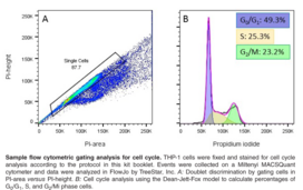 Cell Cycle Phase Determination Kit