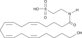 20-<wbr/>hydroxy N-<wbr/>Arachidonoyl Taurine