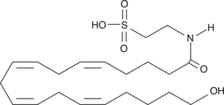 20-<wbr/>hydroxy N-<wbr/>Arachidonoyl Taurine