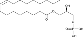 1-<wbr/>Oleoyl Lyso<wbr/>phosphatidic Acid