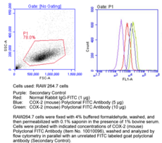 COX-<wbr/>2 (mouse) Polyclonal FITC Antibody