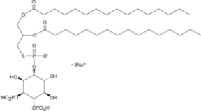 Ptd(S)Ins-<wbr/>(3,4)-<wbr/>P<sub>2</sub> (1,2-<wbr/>dipalmitoyl) (sodium salt)