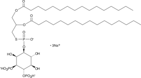 Ptd(S)Ins-<wbr/>(3,4)-<wbr/>P<sub>2</sub> (1,2-<wbr/>dipalmitoyl) (sodium salt)