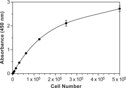 WST-<wbr/>8 Cell Proliferation Assay Kit