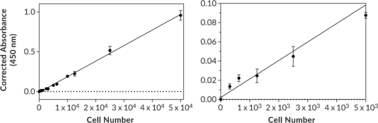 XTT Cell Proliferation Assay Kit