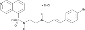 H-<wbr/>89 (hydro<wbr>chloride)