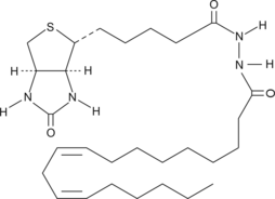 Linoleic Acid-biotin