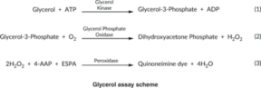 Glycerol Colorimetric Assay Kit