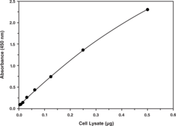 SREBP-<wbr/>1 Transcription Factor Assay Kit