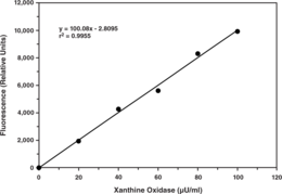 Xanthine Oxidase Fluorometric Assay Kit