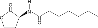 N-<wbr/>heptanoyl-<wbr/>L-<wbr/>Homoserine lactone