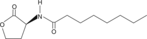 N-<wbr/>octanoyl-<wbr/>L-<wbr/>Homoserine lactone