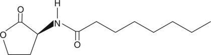 N-<wbr/>octanoyl-<wbr/>L-<wbr/>Homoserine lactone