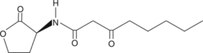 N-<wbr/>3-<wbr/>oxo-<wbr/>octanoyl-<wbr/>L-<wbr/>Homoserine lactone