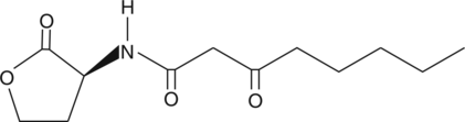 N-<wbr/>3-<wbr/>oxo-<wbr/>octanoyl-<wbr/>L-<wbr/>Homoserine lactone