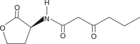 N-<wbr/>(?-<wbr/>ketocaproyl)-<wbr/>L-<wbr/>Homoserine lactone