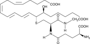 14,15-<wbr/>Leukotriene C<sub>4</sub>