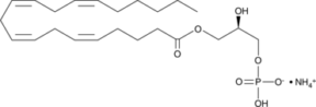 1-Arachi<wbr/>donoyl Lysophos<wbr/>phatidic Acid (ammonium salt)