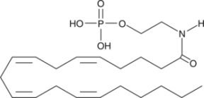 Arachidonoyl Ethanolamide Phosphate