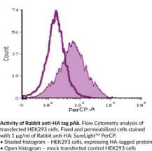 Rabbit Anti-HA IgG: SureLight<sup>®</sup> PerCP
