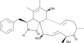 Cytochalasin C