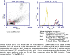 BLT<sub>1</sub> Receptor Monoclonal Antibody (Clone 7B1)