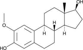 2-<wbr/>Methoxyestradiol