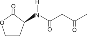 N-3-oxo-<wbr/>butyryl-L-<wbr/>Homoserine lactone