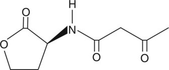 N-3-oxo-<wbr/>butyryl-L-<wbr/>Homoserine lactone